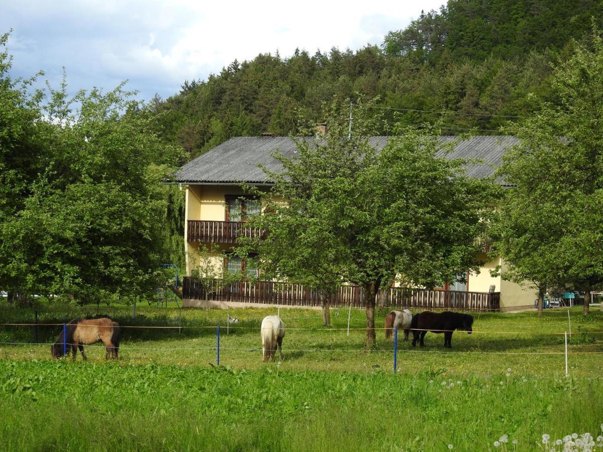Apartment Am Ponyhof Sankt Kanzian am Klopeiner See Exterior photo